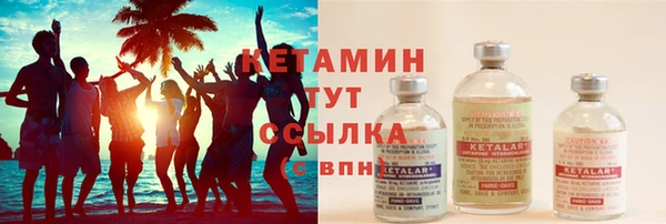 СК Новодвинск