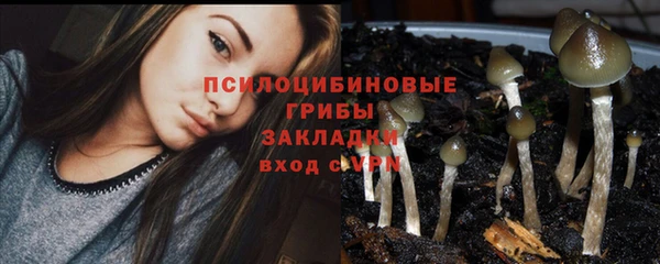 крисы Дмитриев