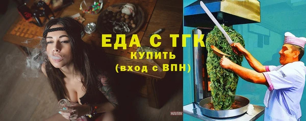 PSILOCYBIN Ельня