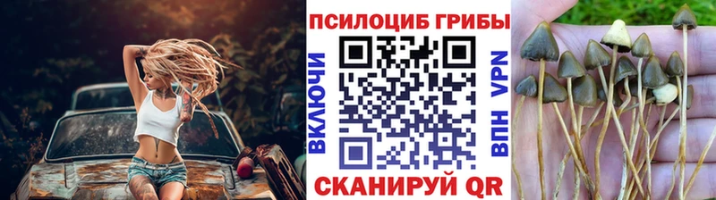 Галлюциногенные грибы ЛСД  купить наркотики цена  Олёкминск 